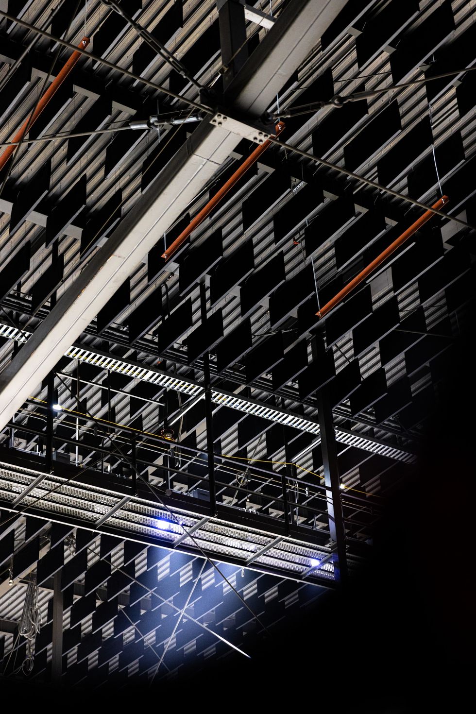 Acoustic panelling in the roof of the Hamilton Arena.