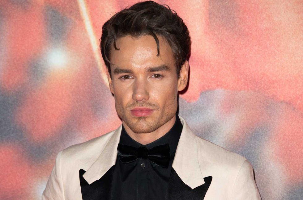 Liam Payne Went to Sobriety Treatment Center for 100 Days After One Direction Backlash