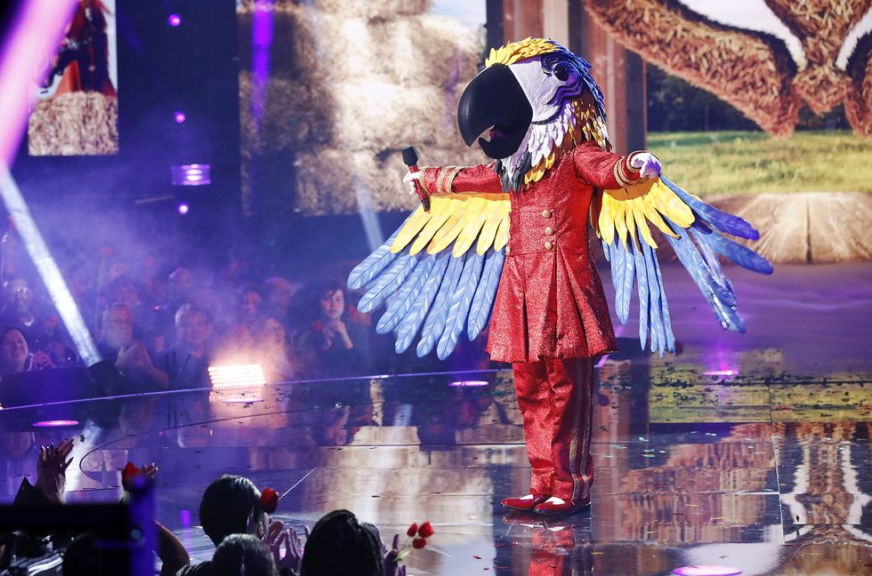 Macaw Confesses They Were ‘Afraid to Show Myself’ on ‘The Masked Singer’ Finale: Exclusive
