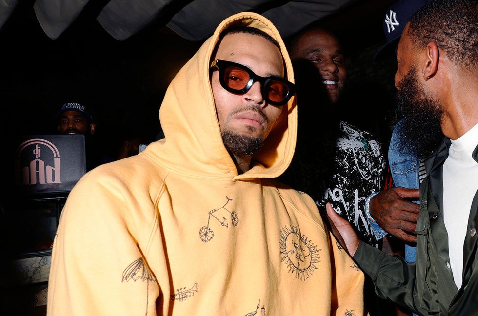 Chris Brown’s Monkey Dealer Avoids Prison Time Over Wildlife Charges