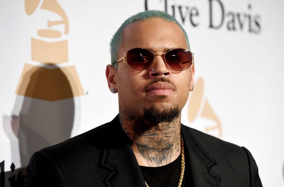 Chris Brown’s Monkey Dealer Pleads Guilty to Wildlife Trafficking