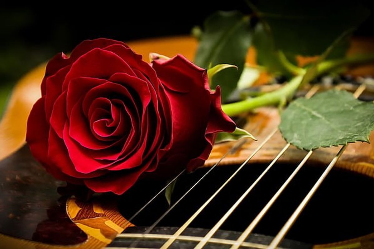 Notable Canadians We Lost in 2023: Obituaries