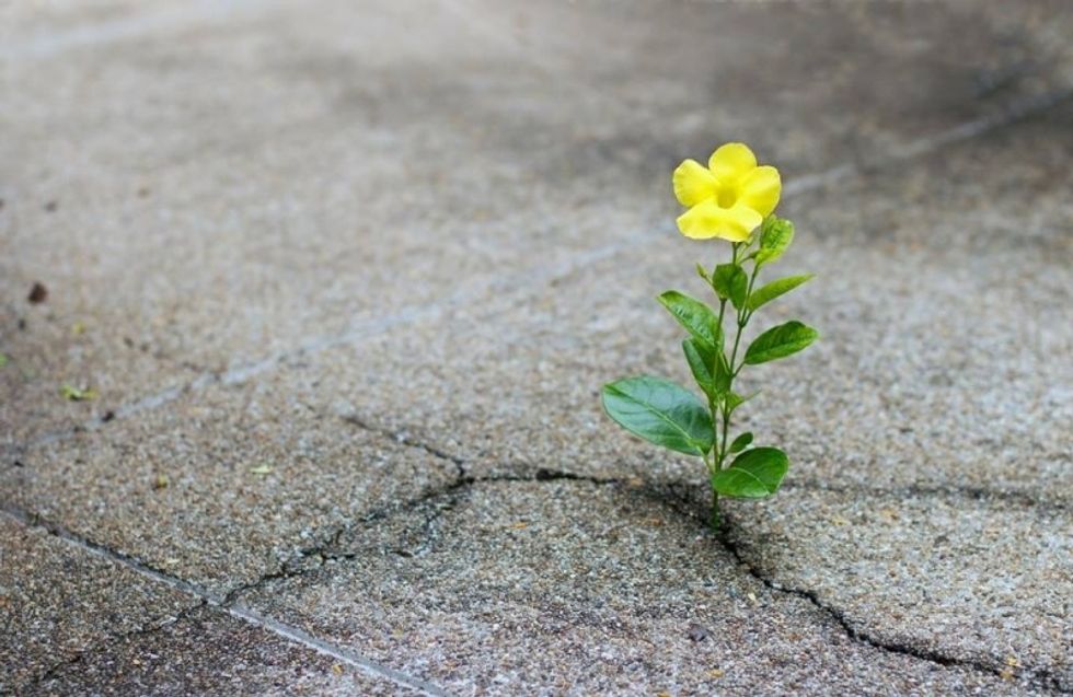 Editorial Comment: Hope Stems From This Federal Election