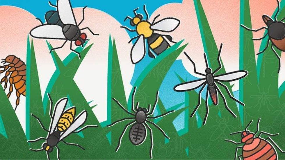 The Boss Says, ‘Take A Hike, It’s the Labour Day Weekend’