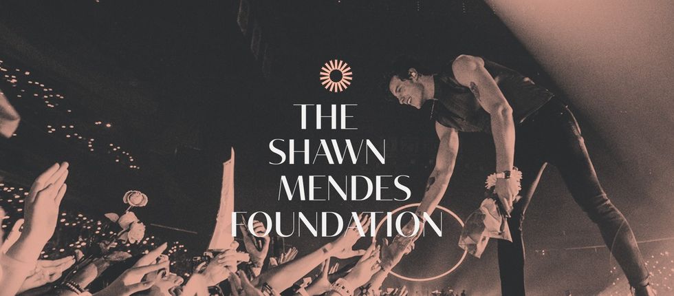 Shawn Mendes Commits $250K To The Global Citizen Academy
