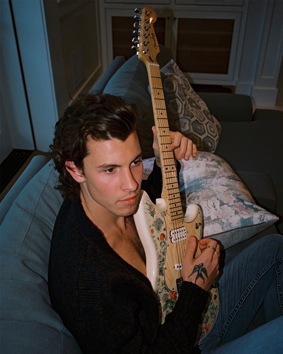 Shawn Mendes Leads SOCAN Awards With Five Wins