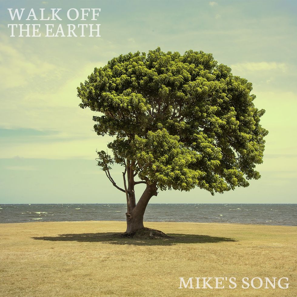 Walk Off The Earth: Mike's Song