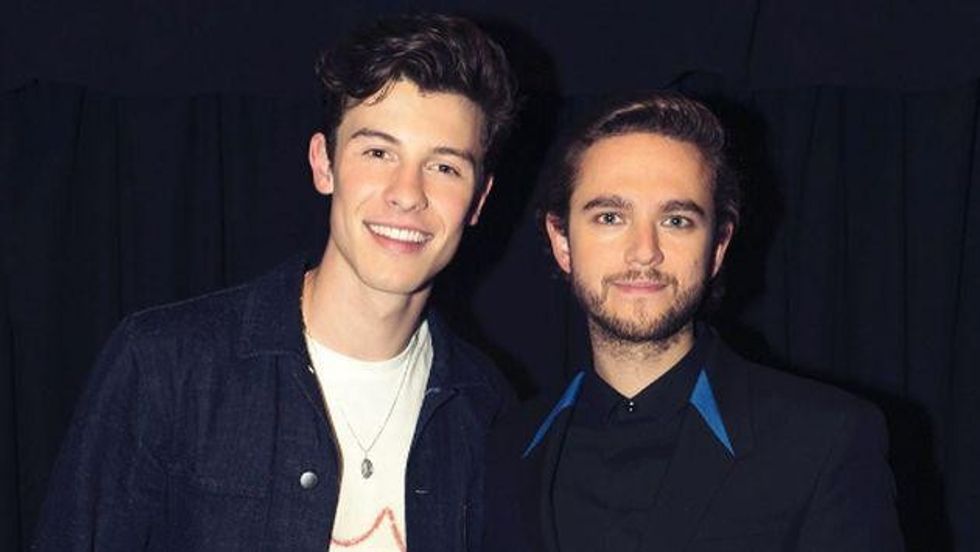 Zedd Has A Certified Hit With Shawn Mendes Cover