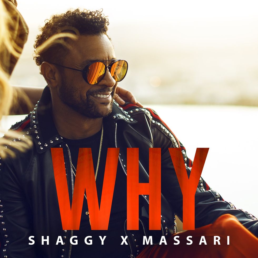 Shaggy & Massari: Why