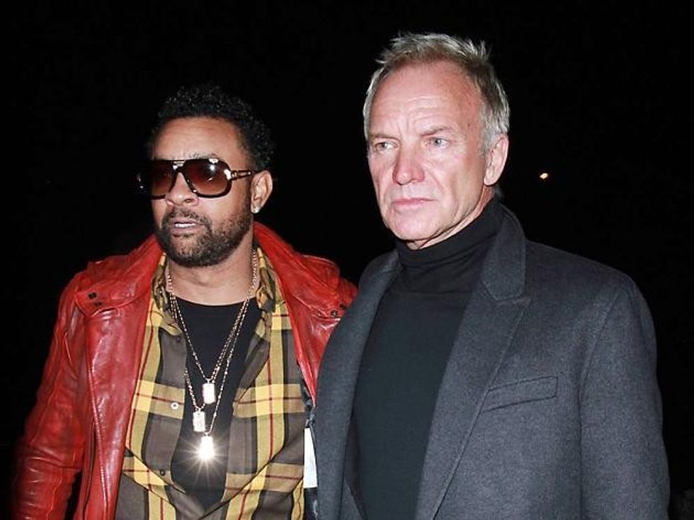 Shaggy & Sting Capture Today's Diverse Pop Sound