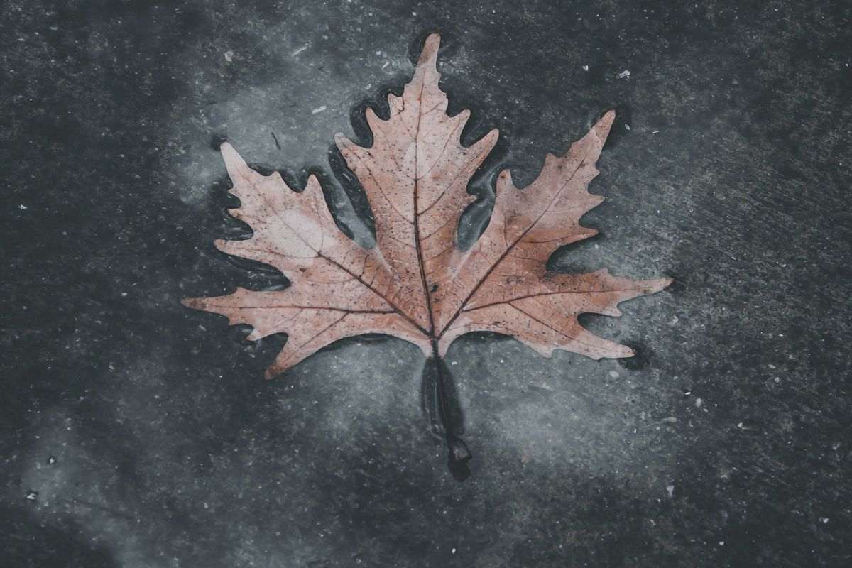Canadian Music Industry Weighs in on How to Support Canadian Audio Content at CRTC Public Hearings