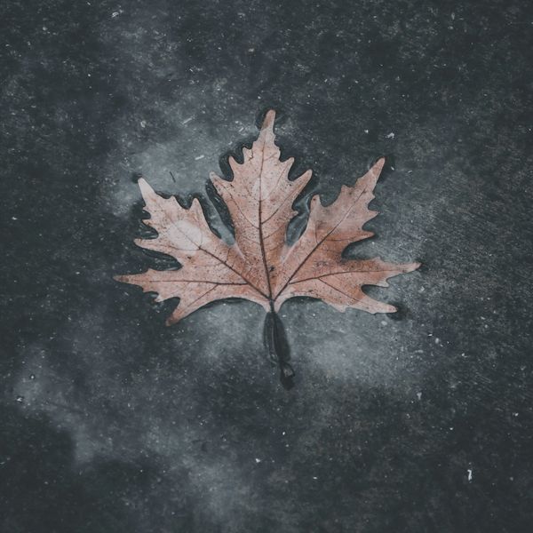 Canadian Music Industry Weighs in on How to Support Canadian Audio Content at CRTC Public Hearings