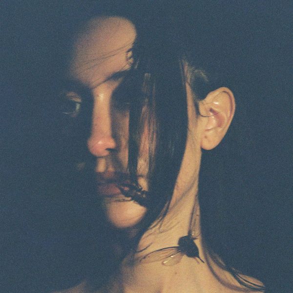 Julia Wolf