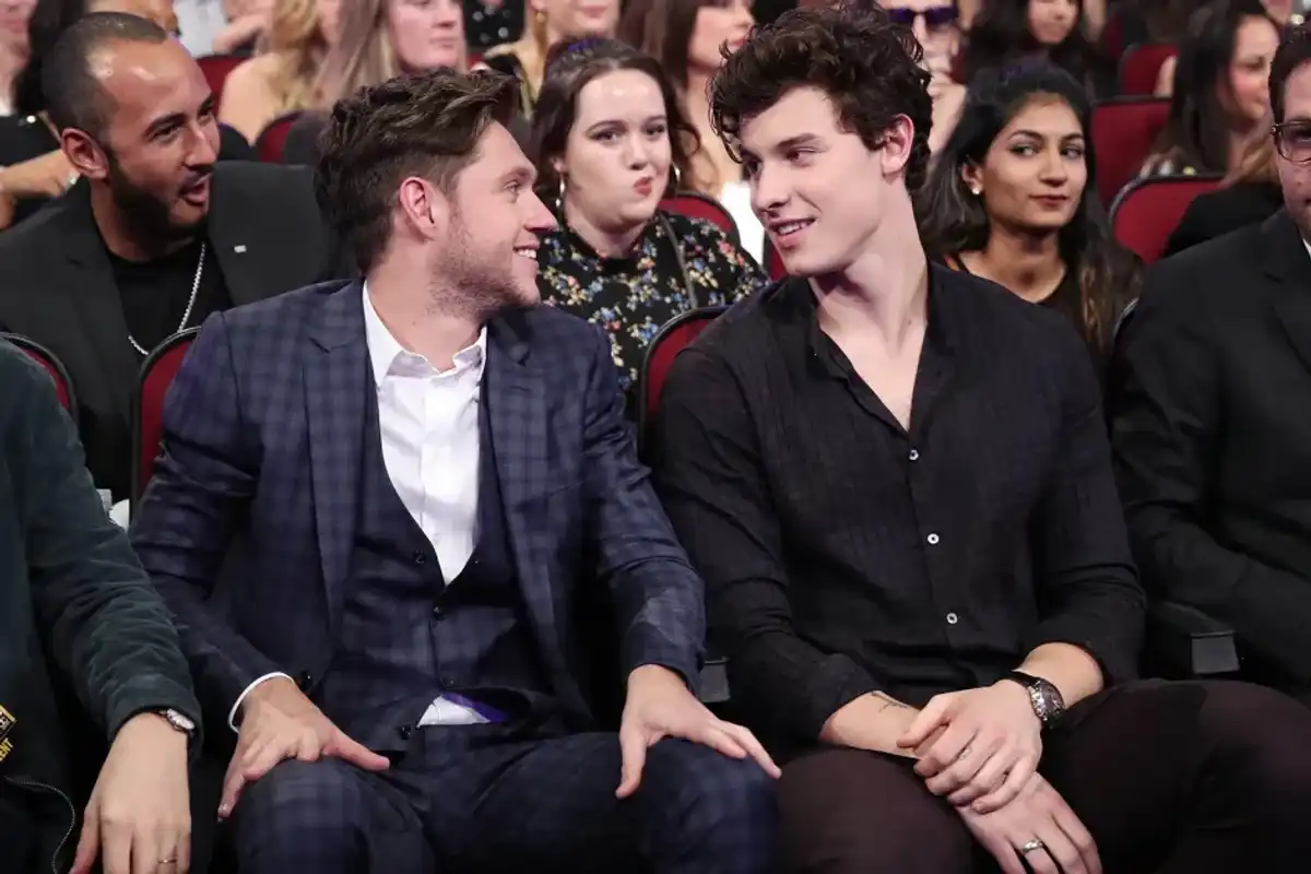 Niall Horan and Shawn Mendes during the 2017 American Music Awards at Microsoft Theater on Nov. 19, 2017 in Los Angeles.