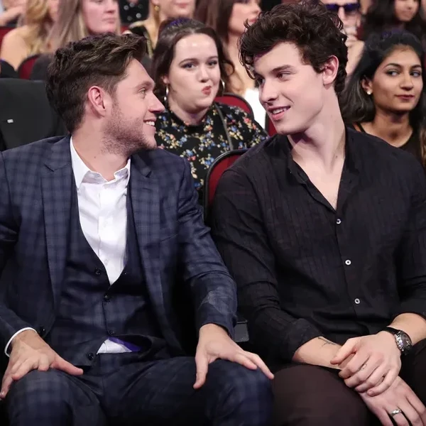 Niall Horan and Shawn Mendes during the 2017 American Music Awards at Microsoft Theater on Nov. 19, 2017 in Los Angeles.