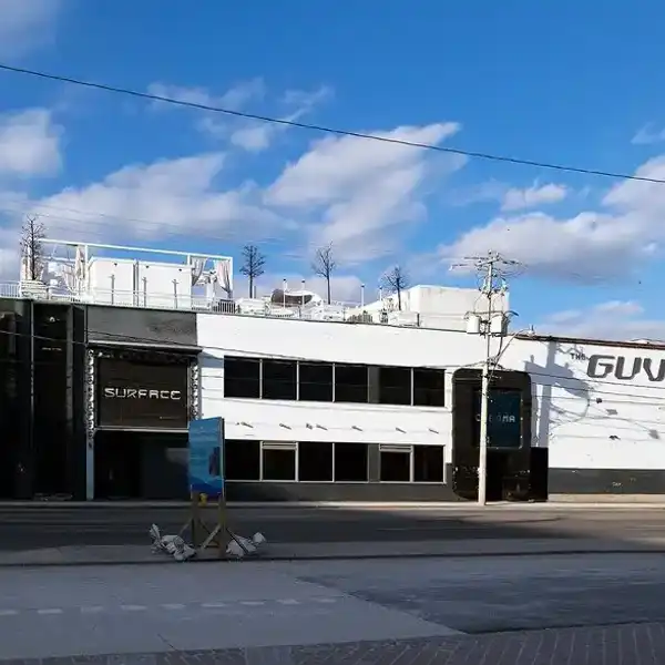 The Guvernment
